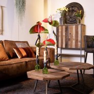 Grote snij Anthuriums in woonstijl 'Stoer'