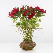 Kleurrijk Alstroemeria design open