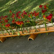 Rouwwerk met Freesia door Pim van den Akker