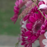 Roze chrysantjes voor mam - Kristel van Dijk