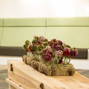 Breanthus in a funeral flower arrangement Kristel van Dijk Flower Factor