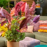 Sfeervolle Snij Anthuriums