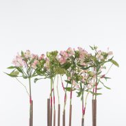 Industrieel Alstroemeria design open bloemen