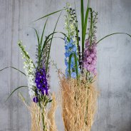 Delphinium design - Roos van Unen - Flower Factor