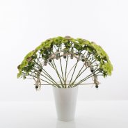 Groen gebogen boeket met Chrysant 'Cocoon'