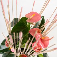 roze Anthurium arrangement - Pim van den Akker - Flower Factor