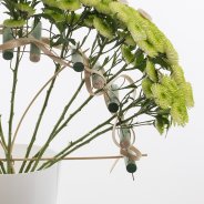 'Cocoon', een in het oog springende soort