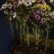 Floraal Yin Yang object