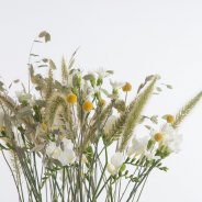 Luxueus #FreestyleFreesia Close-up