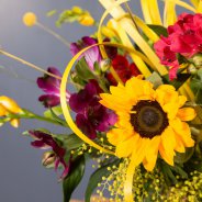 Paarse Alstroemeria 'Carline'