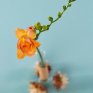 kerstdecoratie met Freesia - Flower Factor