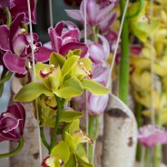 Horeca bloemstuk met snij Cymbidium