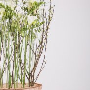 Klein Freesia bos detail