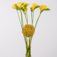 Een hechte Freesia constructie