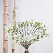 Spiegelend anjer boeket met Snow Star Tessino
