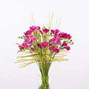 Krachtig Freesia boeket