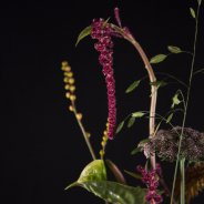 Tino Hoogterp Natural Treasures boeket - bovenkant