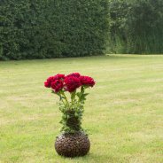 Natuurlijk pioenrozen arrangement