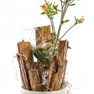 Plant +hout
