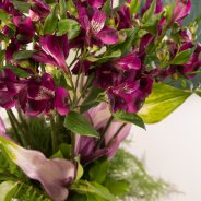 Alstroemeria boeket met Anthuriums van Pauline Brouwer - fotografie Flower Factor