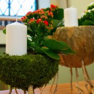 Advent en Kalanchoë