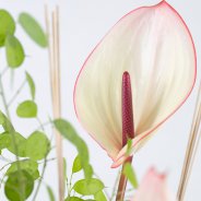 Anthuriums in frame van houten schijfjes - Roos van Unen - Flower Factor