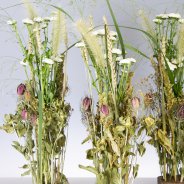 Pizarro - Dennis Lanzaat - Flower Factor