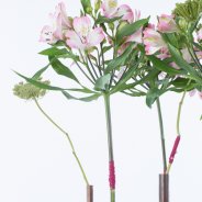 Industrieel Alstroemeria design open bloemen close-up