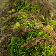 Afscheidsbloemwerk met groene snij-hortensia - Kristel van Dijk - Flower Factor