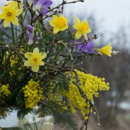 Ruik de Lente Freesia boeket door Inge Quint