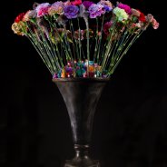 TrendyDianthus design Roos van Unen Flower Factor totaal