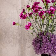 TrendyDianthus vaas design Flower Factor
