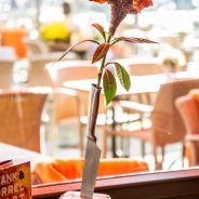 bloemwerk voor horeca - Pim van den Akker - Flower Factor