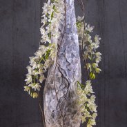 Cybidium 'Ice Cascade' kerstbloemwerk - LZ Orchidee - Flower Factor