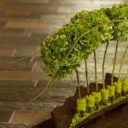 rouwwerk met classic hortensia - Pim van den Akker - Flower Factor