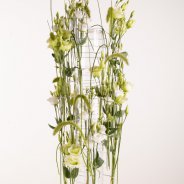 Luchtig Lisianthus design met soorten van Sakata