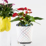 speels Anthurium arrangement - Roos van Unen - Flower Factor