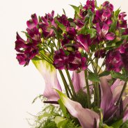 Alstroemeria boeket met Anthuriums van Pauline Brouwer - fotografie Flower Factor