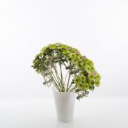 Groen gebogen boeket met Chrysant 'Cocoon' zijaanzicht