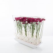 Elegant design met 'Stresa Purple'