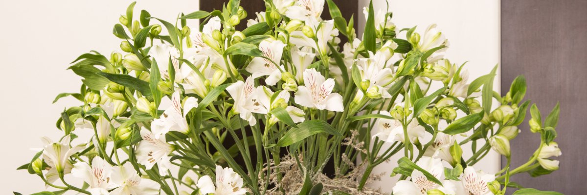 Winters boeket met Alstroemeria