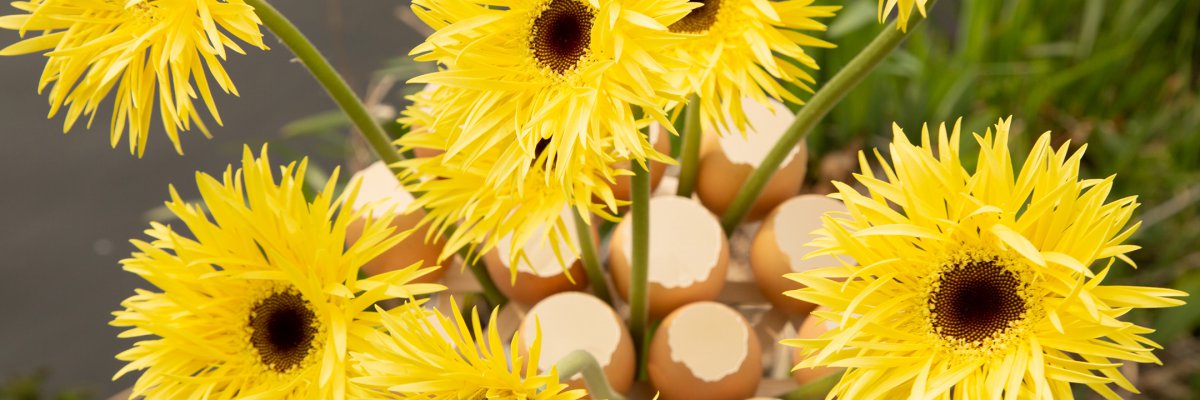 Frameboeket met mini Gerbera's en eitjes
