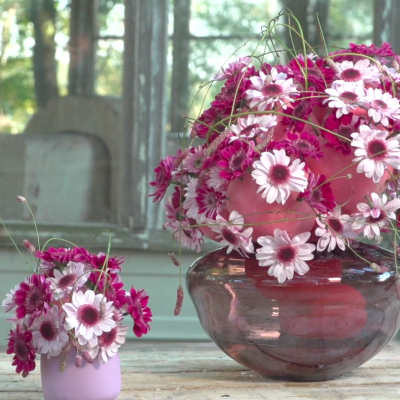 Roze chrysantjes voor mam