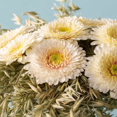 Boeket van mini Gerbera's op een bedje van gedroogde grassen