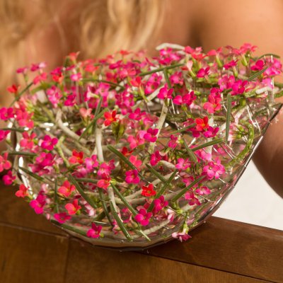 Florale bruidsarmband met Kalanchoe
