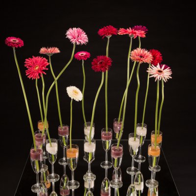 Feestelijke mini Gerbera glazen