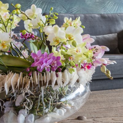 an orchid eye-catcher