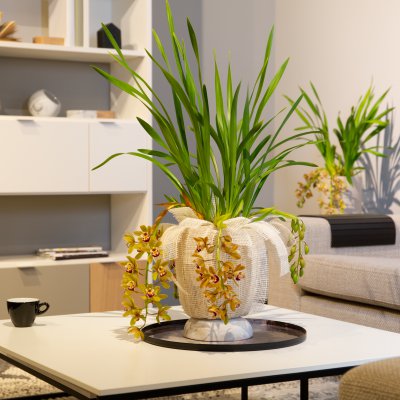 Cascade Cymbidium Argiro in een Urban Modern stijl
