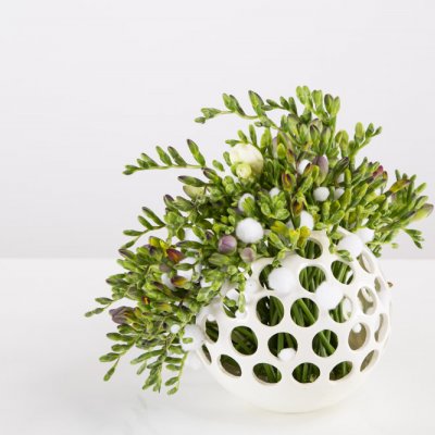 Kleurrijke Freesia bol