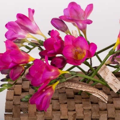 Felroze Freesia arrangement